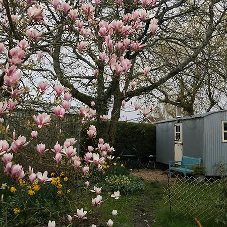 The Wayside Shepherd Hut بوليو المظهر الخارجي الصورة
