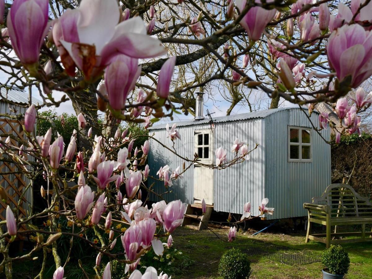 The Wayside Shepherd Hut بوليو المظهر الخارجي الصورة