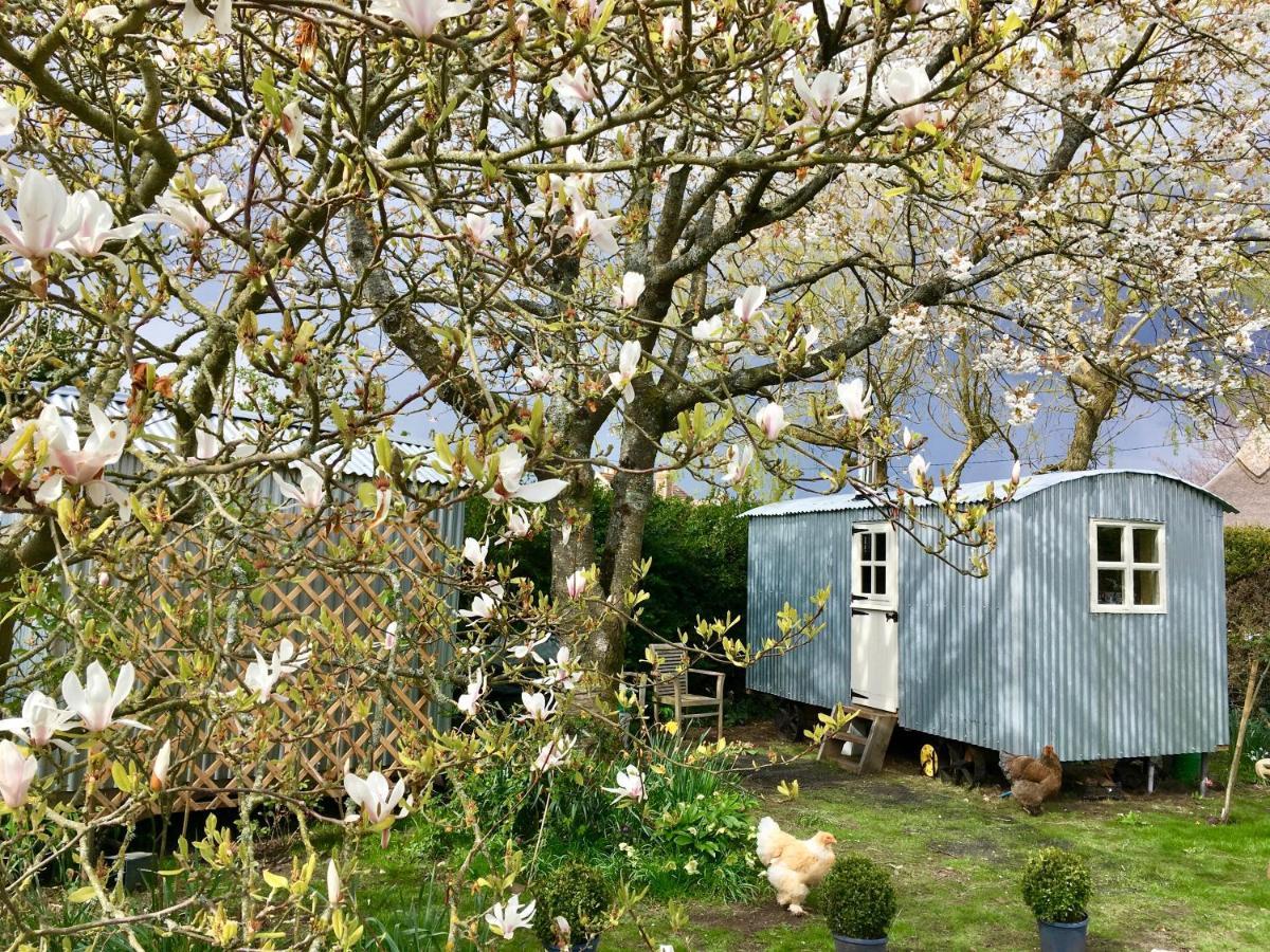 The Wayside Shepherd Hut بوليو المظهر الخارجي الصورة