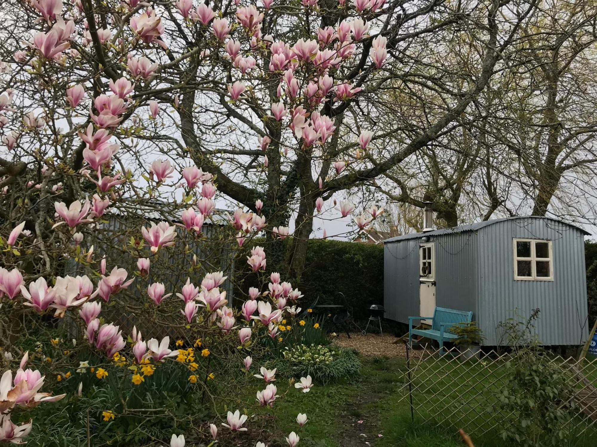 The Wayside Shepherd Hut بوليو المظهر الخارجي الصورة