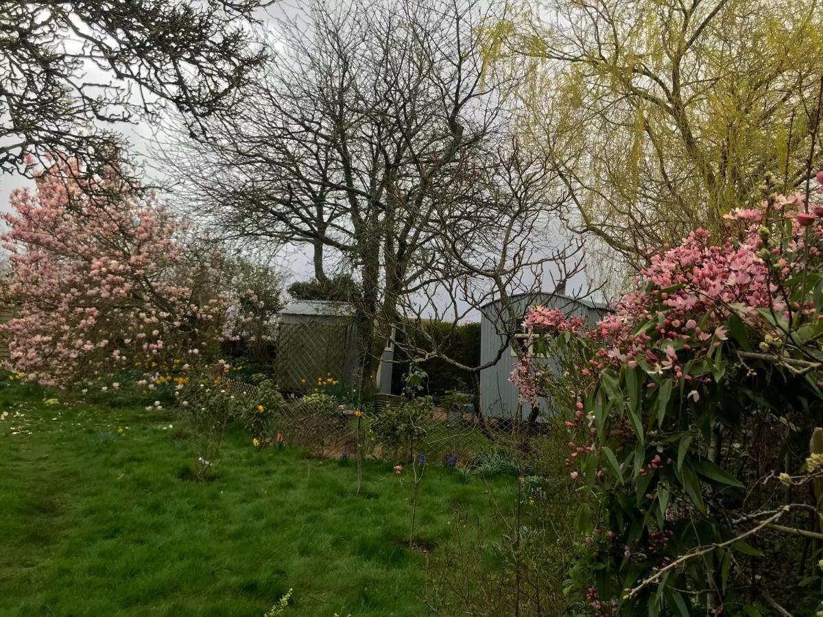 The Wayside Shepherd Hut بوليو المظهر الخارجي الصورة