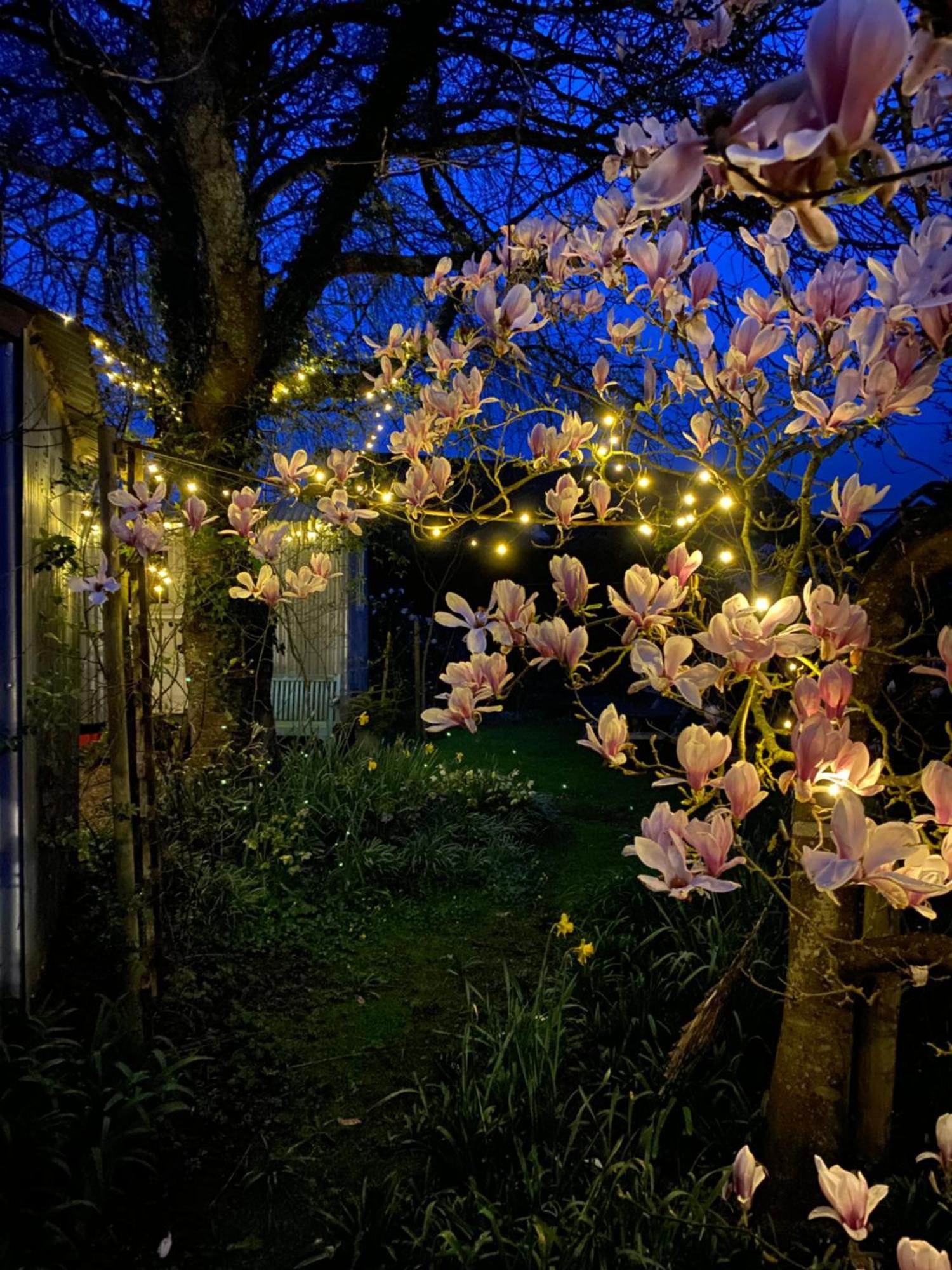 The Wayside Shepherd Hut بوليو المظهر الخارجي الصورة